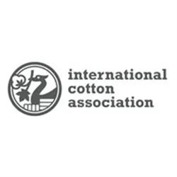 Complete Cotton 2022